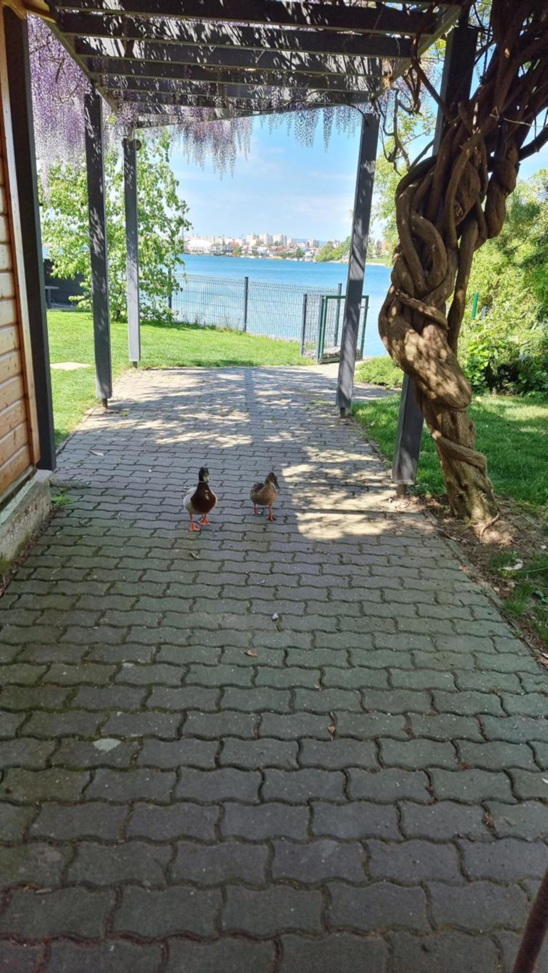 Topsenec-Lakeside Home Экстерьер фото